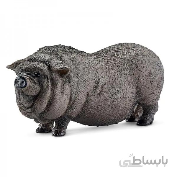 خوک اشلایش 13747
