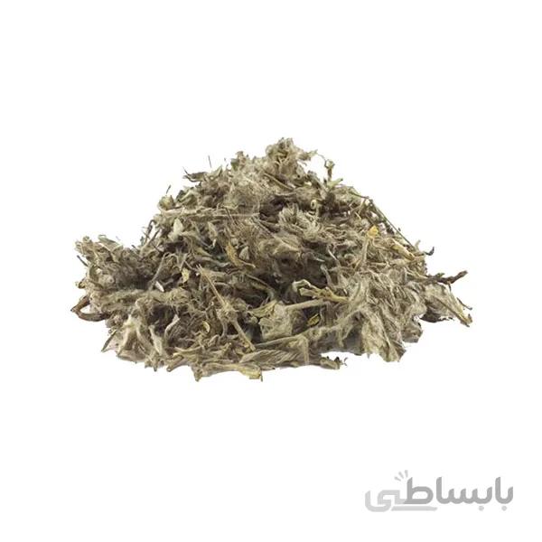 چای کوهی