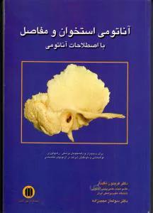 آناتومی استخوان و مفاصل با اصطلاحات آناتومی