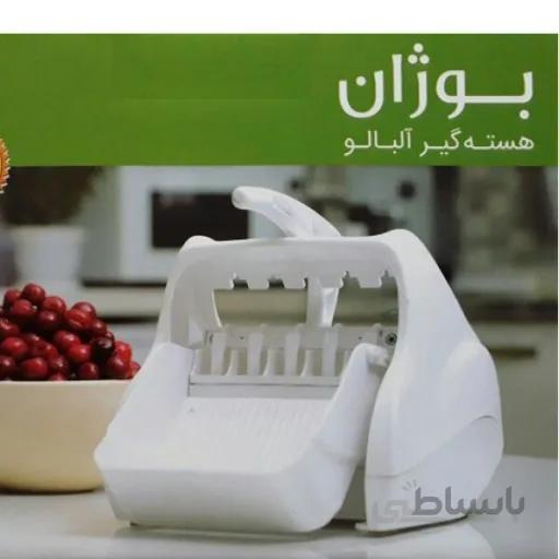 هسته گیر آلبالو بوژان