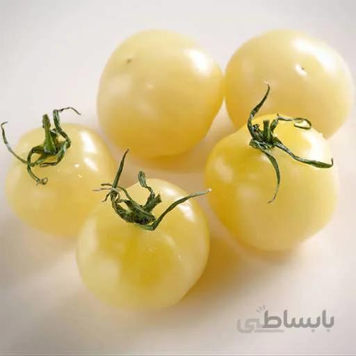 بذر گوجه چری سفید