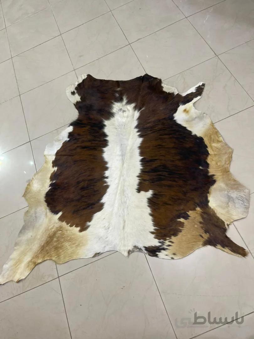 پوست طبیعی گاو تزنیِِینی 15.25 پایی ا cow skin