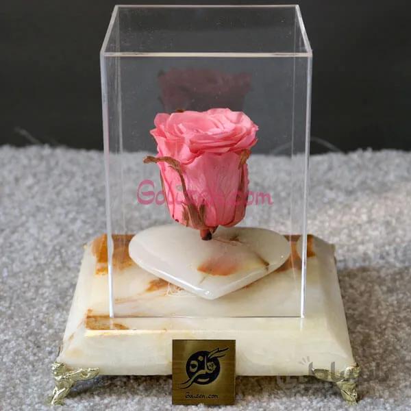 رز جاودان نگار