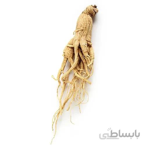 بذر جینسینگ امریکایی