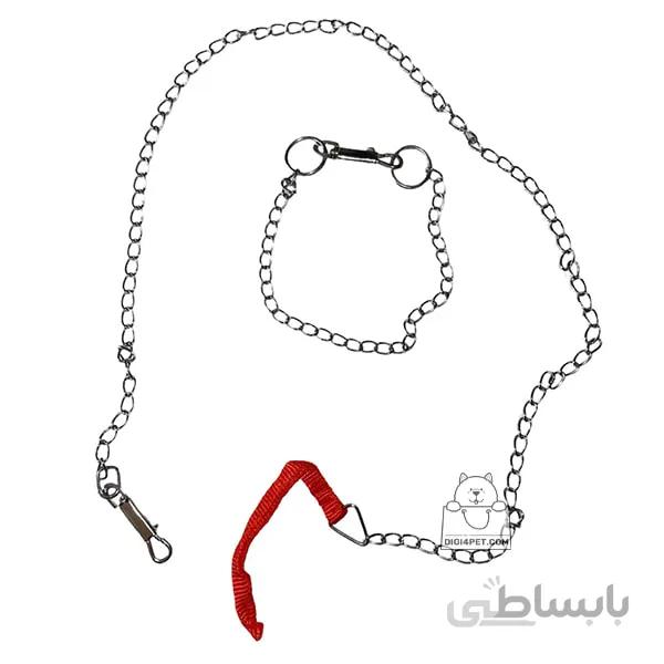 ست زنجیر و قلاده گردنی سگ سایز 2