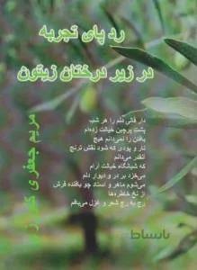 ردپای تجربه در زیر درختان زیتون