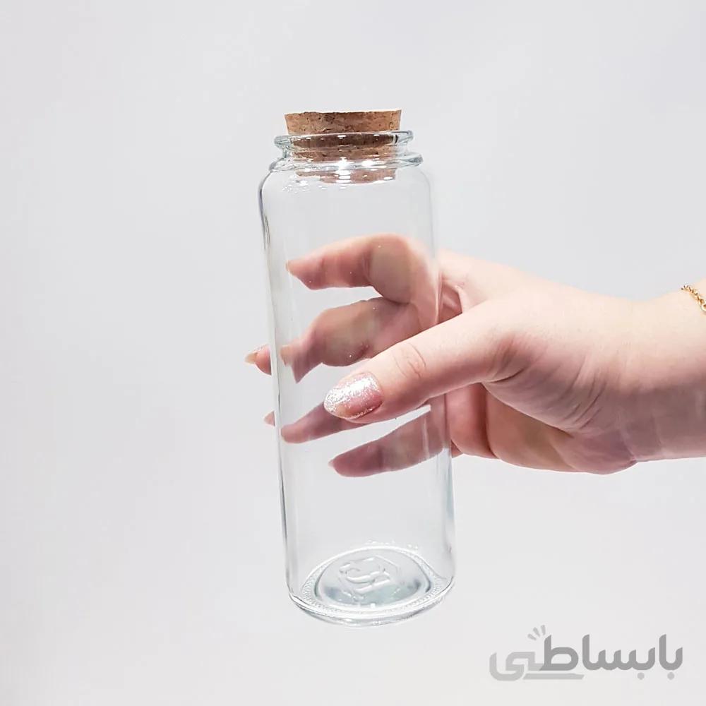 بطری آلپ 20 سانتی