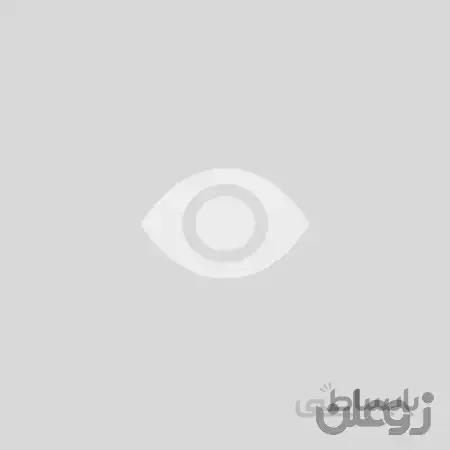 Sennheiser IE 800 Audiophile Ear Canal Headphones
