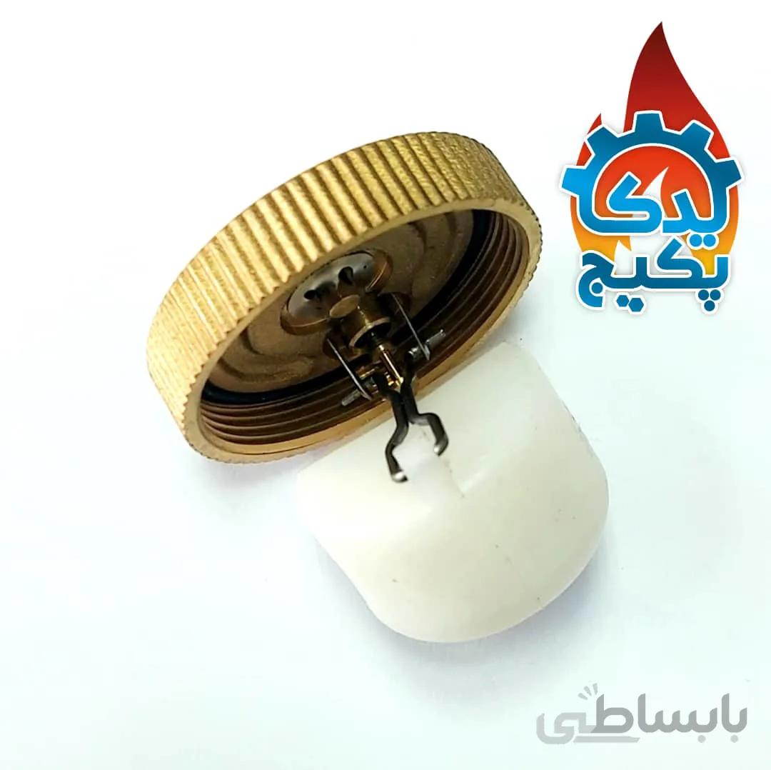 ایرونت بوتان برنجی