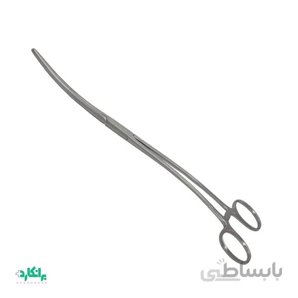 پنس بزمن
