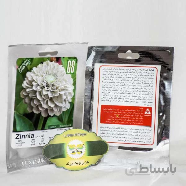 بذر گل آهار پاکوتاه سفید