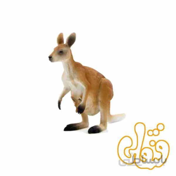 کانگرو Kangaroo 387022
