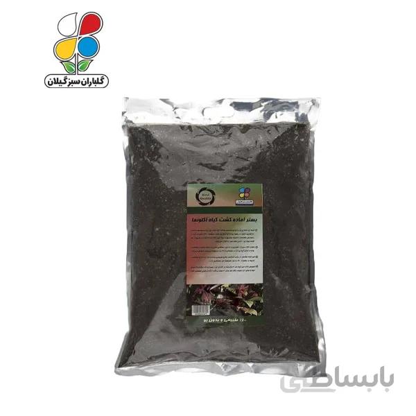 بستر آماده کشت آگلونما بسته 4 کیلوگرمی مدل GPS1 ( بسته 36 عددی )