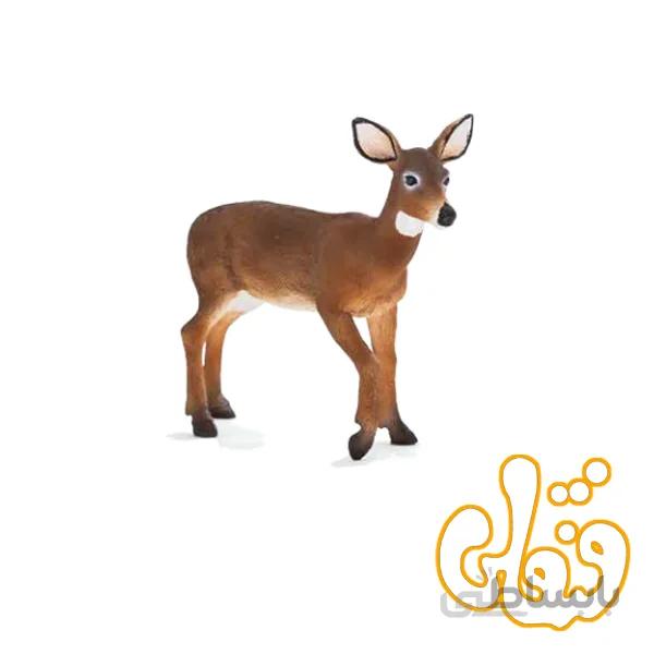 گوزن ماده دم سفید White Tailed Doe 387185