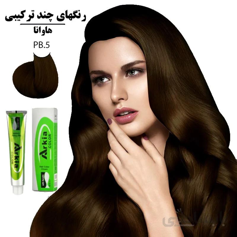 رنگ مو آرکیا هاوانا PB.5