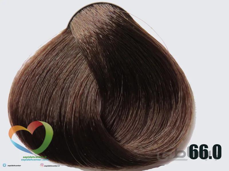 رنگ موی اچ اس لاین بلوند تیره اکسترا 66.0 - ECHOSLINE COLOR Dark Blonde Extra