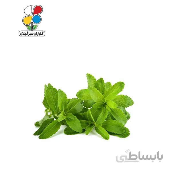 بذر استویا مدل GPSH7L