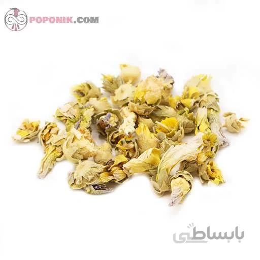 گل ختمی سفید