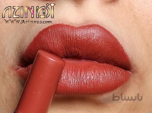 رژ لب مدادی الیزکیتا شماره 309