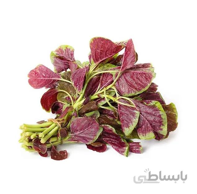 بذر گل آمارانس