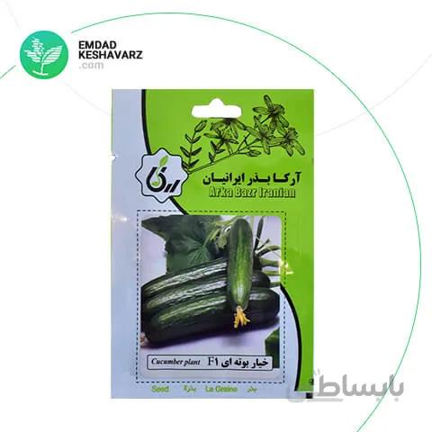 بذر خیار بوته‌ای F1 آرکا بذر