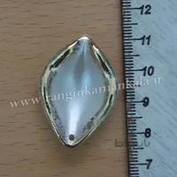 رز وحشی متوسط لب طلا