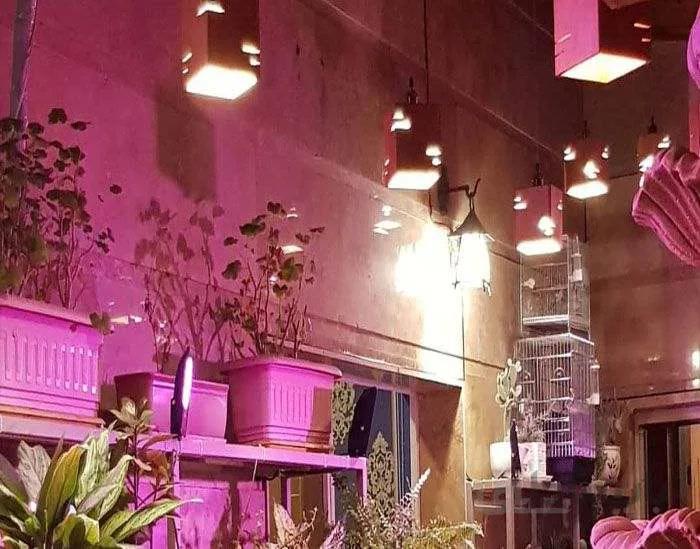 پروژکتور LED و SMD گلخانه ای 18 وات