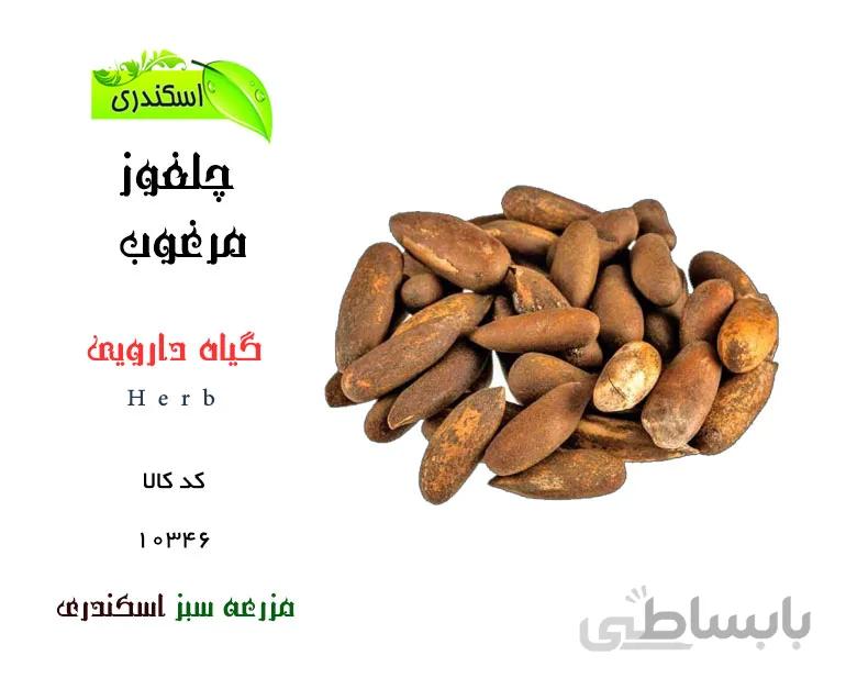 گیاه چلغوز
