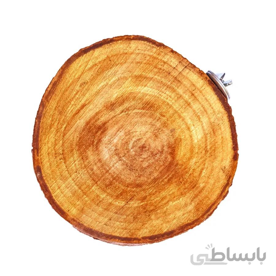 چوب نشیمن پرندگان و طوطی سانان – نشیمنگاه گرد طبیعی بزرگ