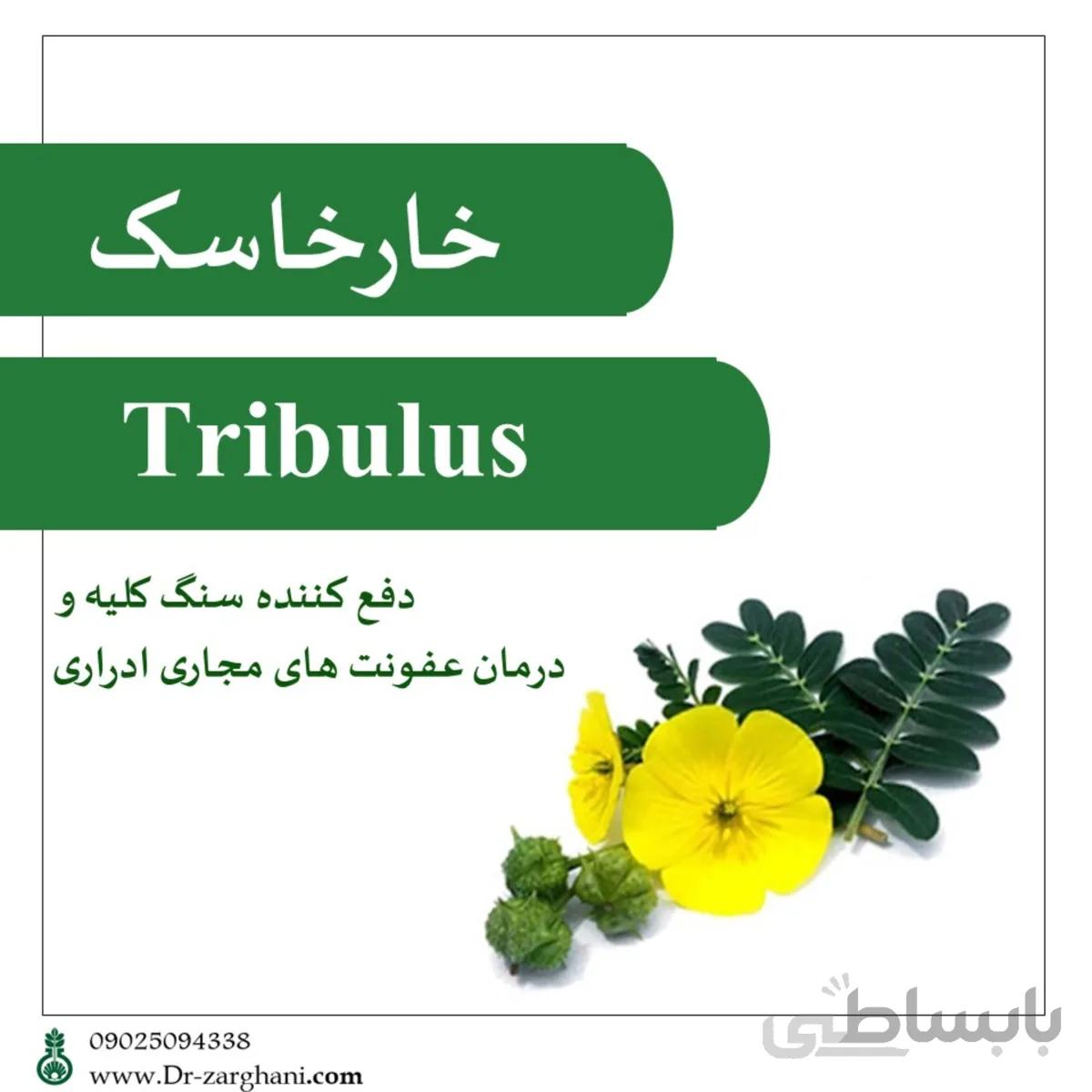 عصاره خوراکی خارخاسک دکتر زرقانی(120 سی سی)