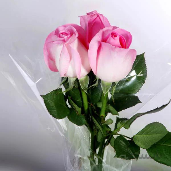 دسته گل رز هلندی