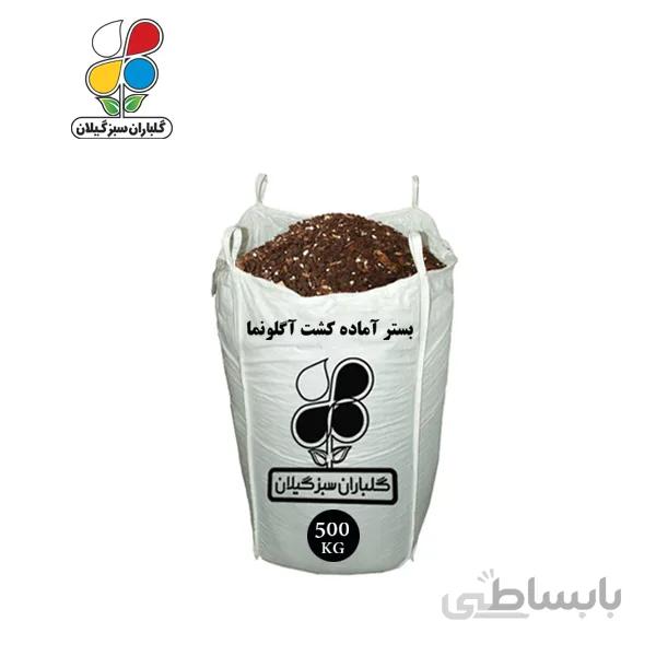 بستر آماده کشت آگلونما عمده 500 کیلویی
