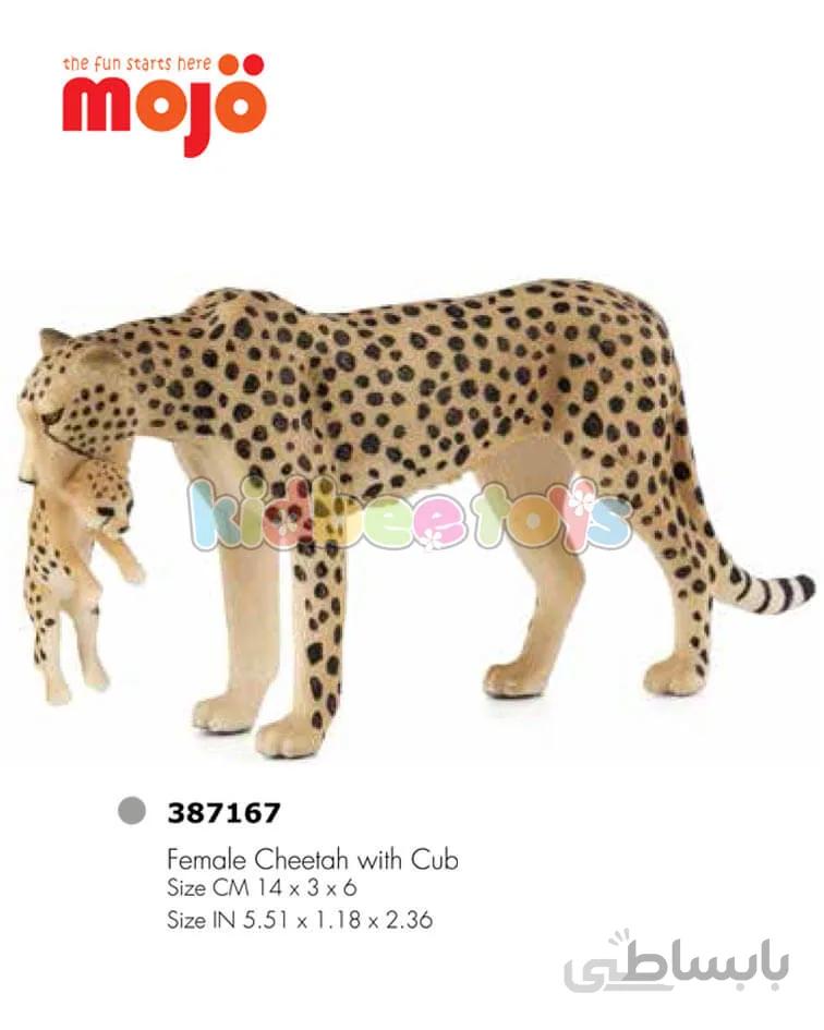 فیگور چیتا ماده با بچه موژو