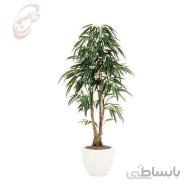 خرید اینترنتی بنجامین آمستل کینگ ( ارسال رایگان )