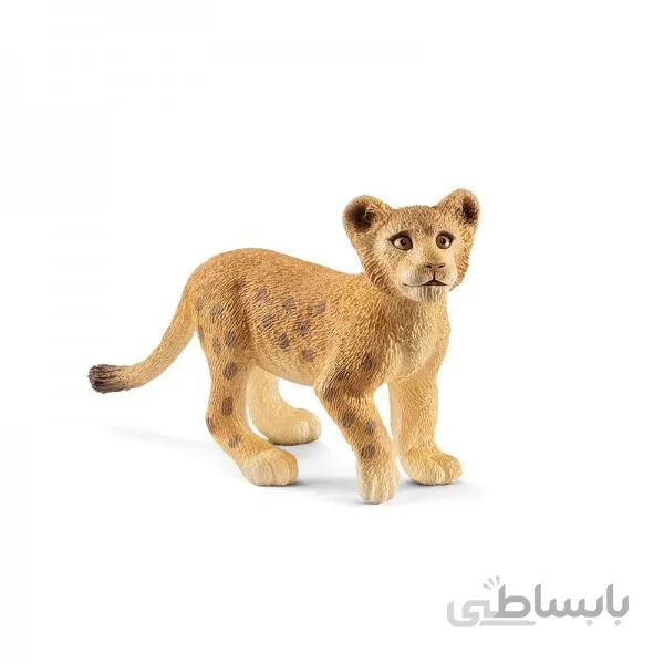 توله شیر اشلایش 14813