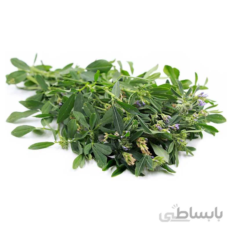 بذر یونجه