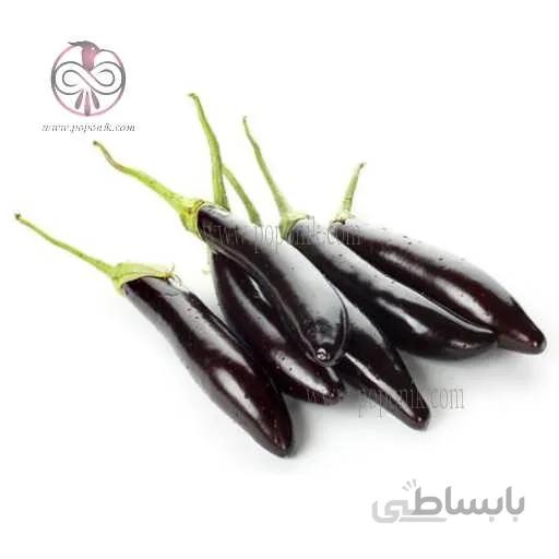 بذر بادمجان قلمی