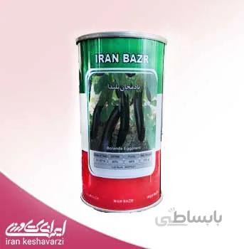 بذر بادمجان قلمی بلندا 2021 ایرانی محصول ایران بذر 100 گرمی