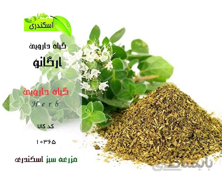 گیاه ارگانو