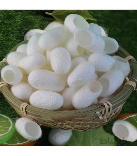 پیله ی ابریشم خالص SILK COCOON