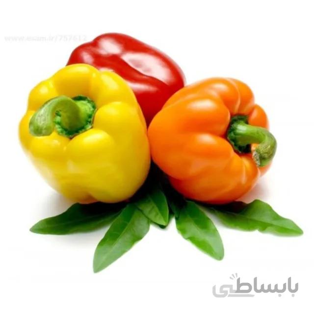 بذر فلفل دلمه ای بسته ۵ گرمی