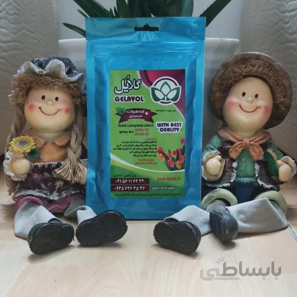 کودتقویتی 20-20-20 گلایل