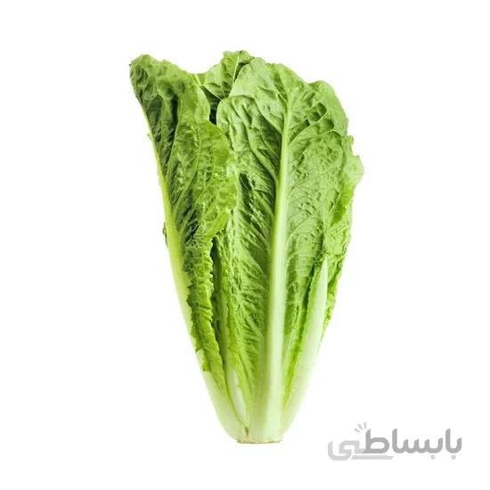 بذر کاهو سالادی