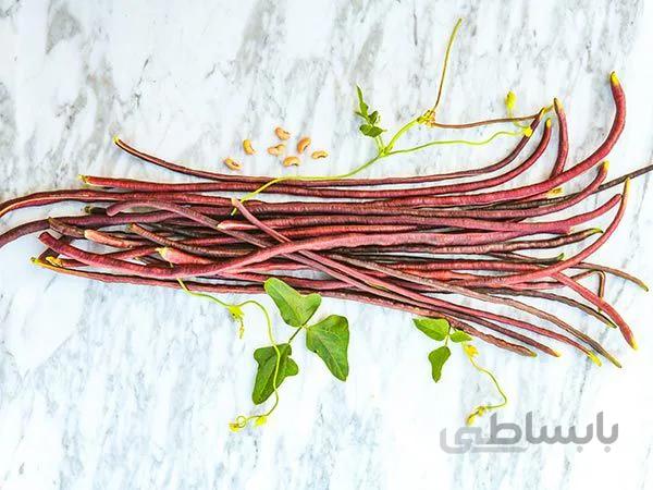 لوبیا متری قرمز ( بذر اورجینال خارجی )