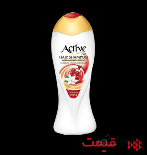 شامپو موی سر اکتیو مخصوص موهای آسیب دیده و رنگ شده حجم 400 گرم