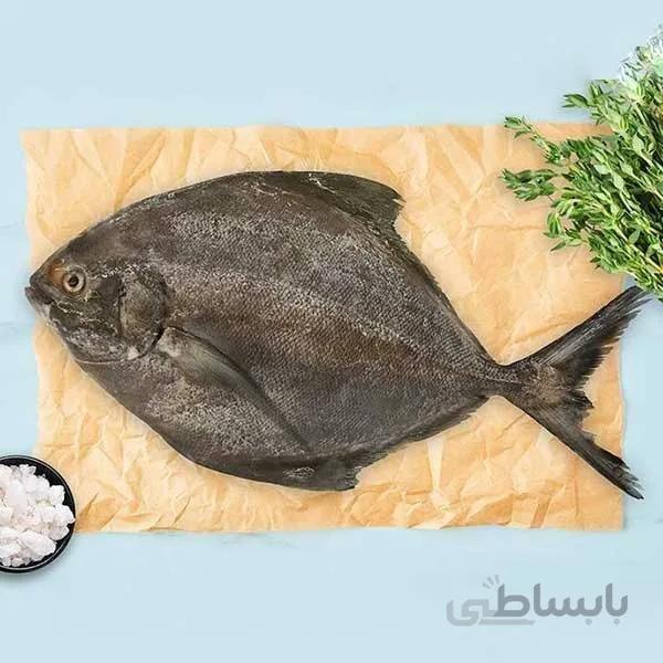 ماهی حلوا سیاه