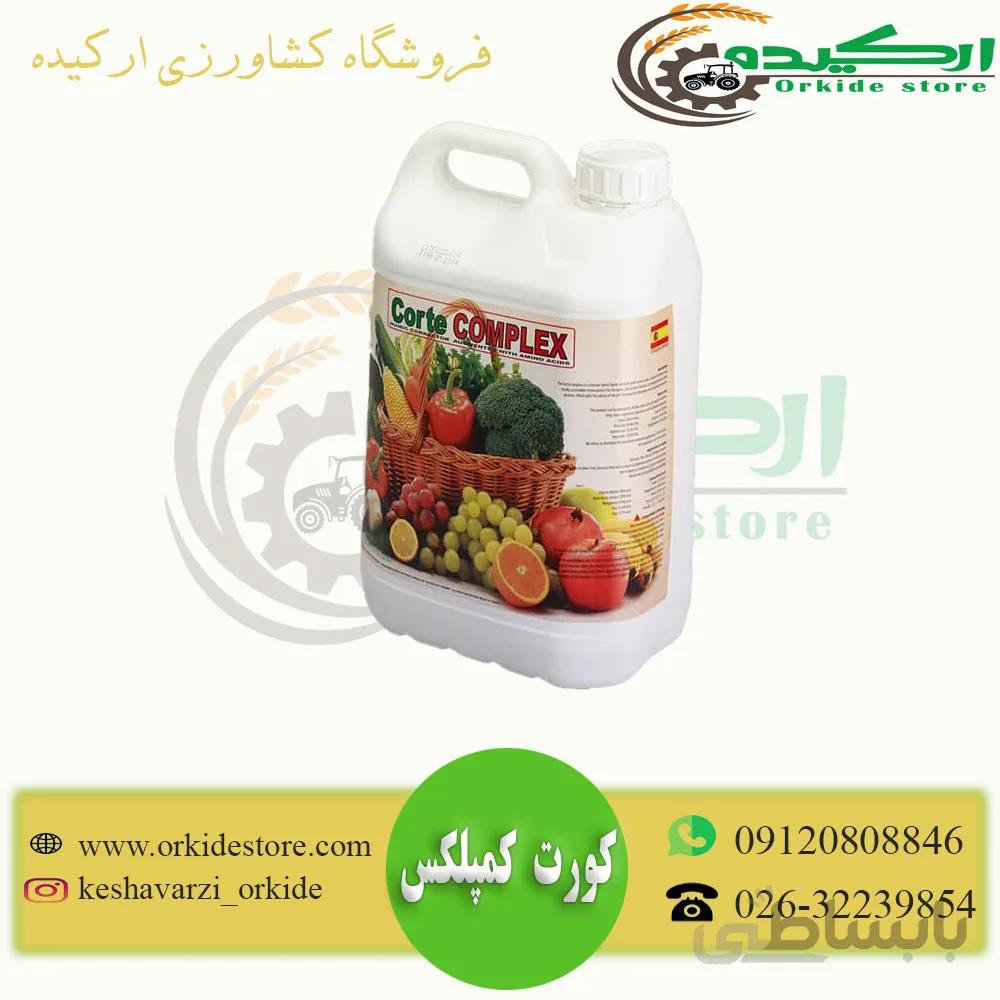 کود کورت کمپلکس