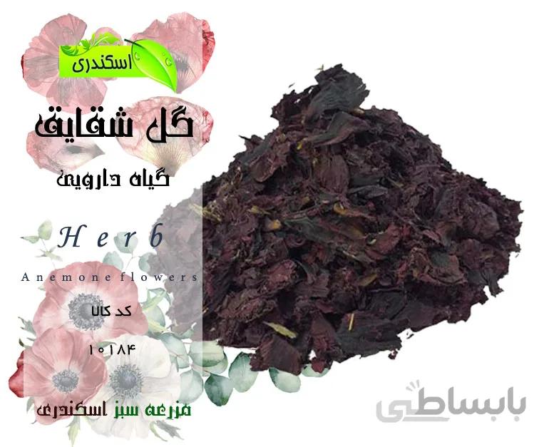 گل شقایق