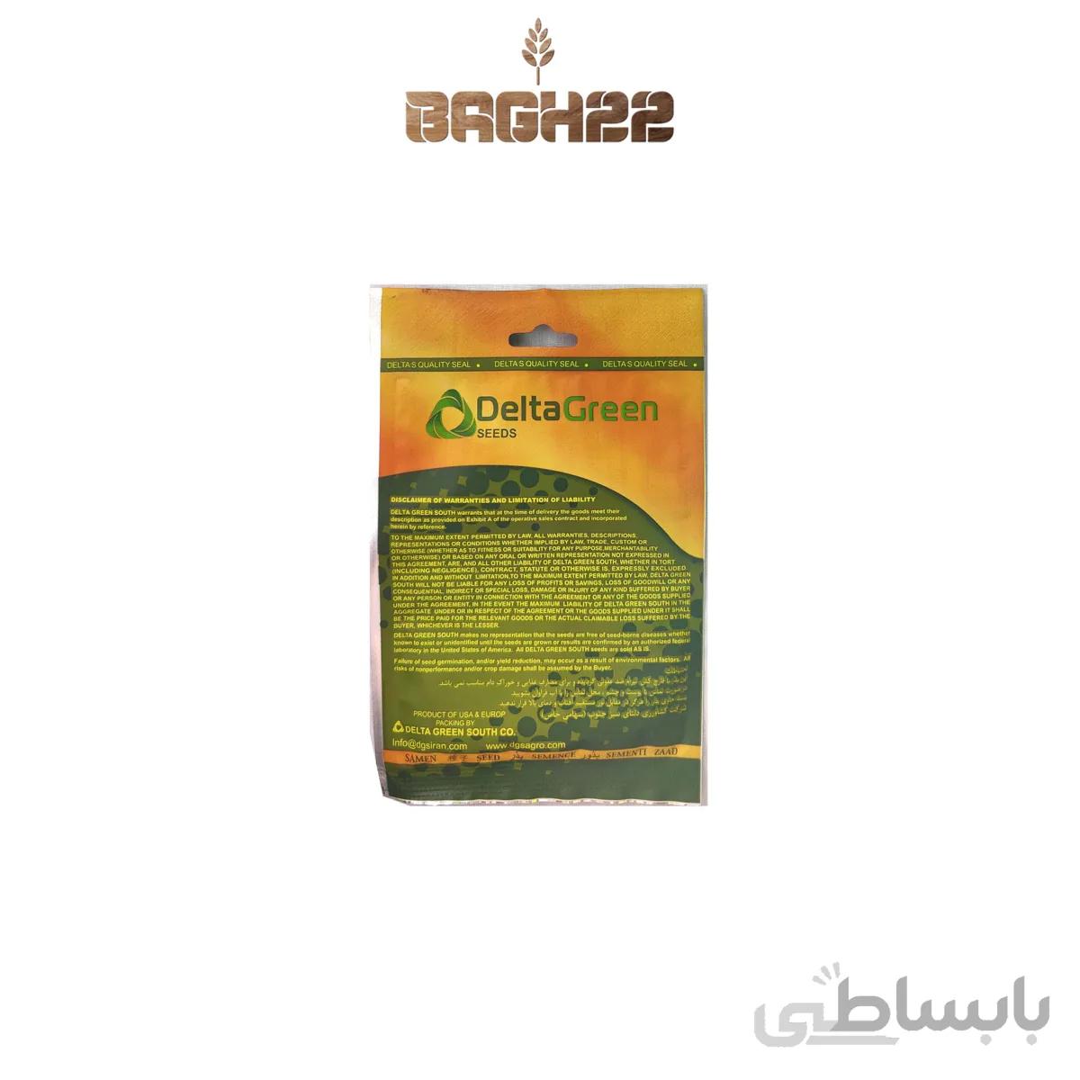 بذر کلم پیچ 10گرمی