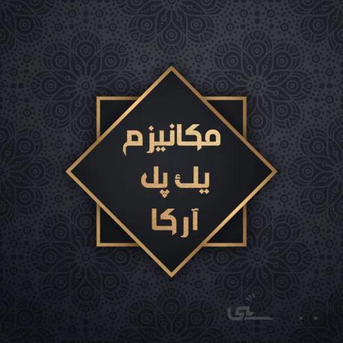 مکانیزم یک پل مدل آرکا